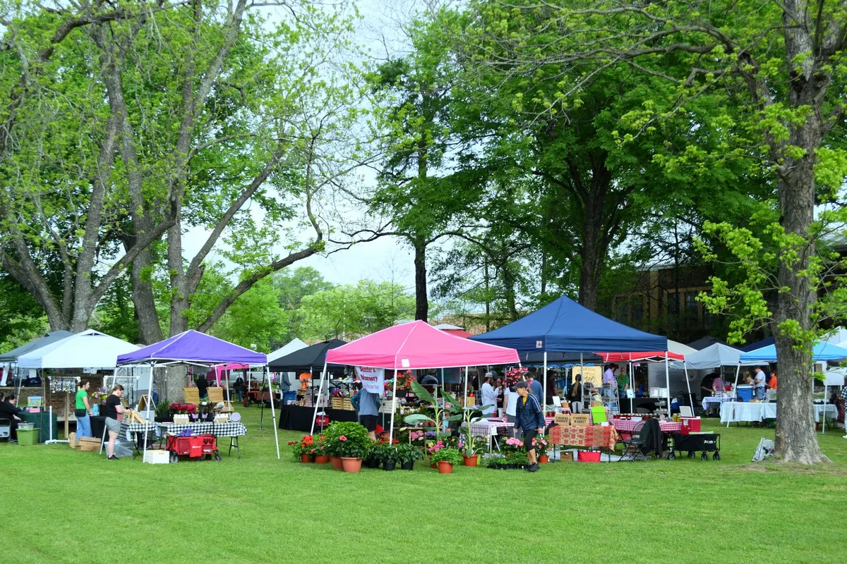 Farmers Market vs. Country Fair: Which Local Event Fits Your Community?