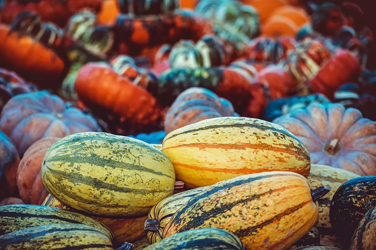 How to Plan a Harvest Festival That Brings Your Whole Village Together