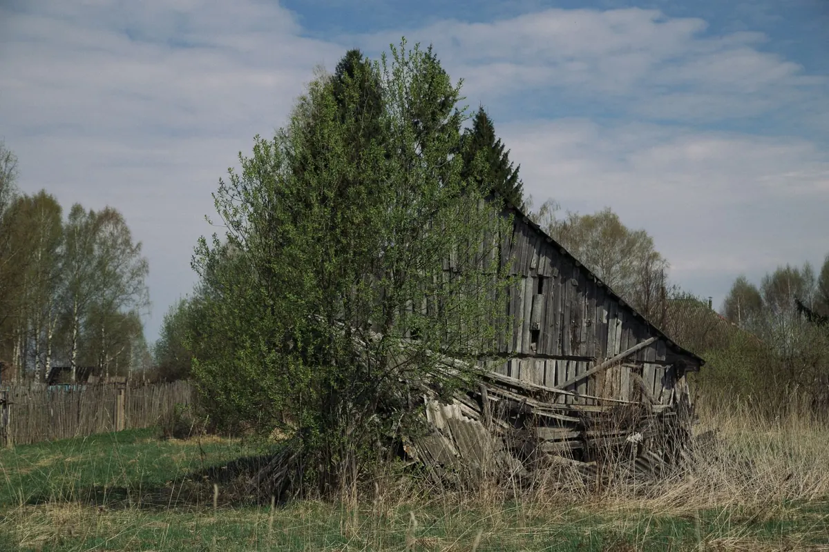Preserving Old Barns: A Beginner's Guide to Assessment and Repair